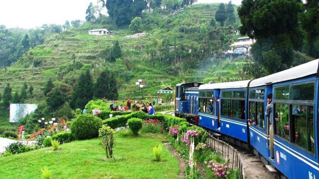 Darjeeling honeymoon