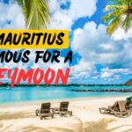 Mauritius honeymoon packages from Chennai,