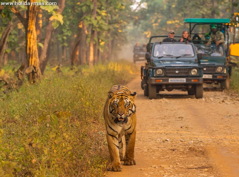 Mudumalai National Park