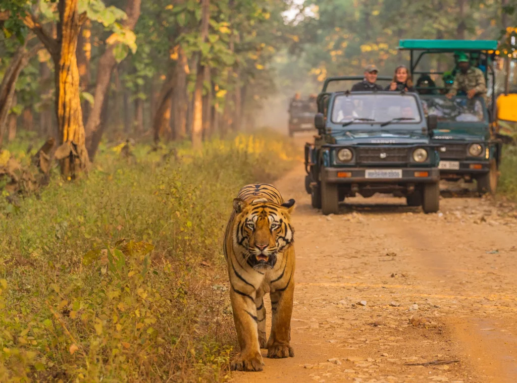 Mudumalai Wildlife Sanctuary