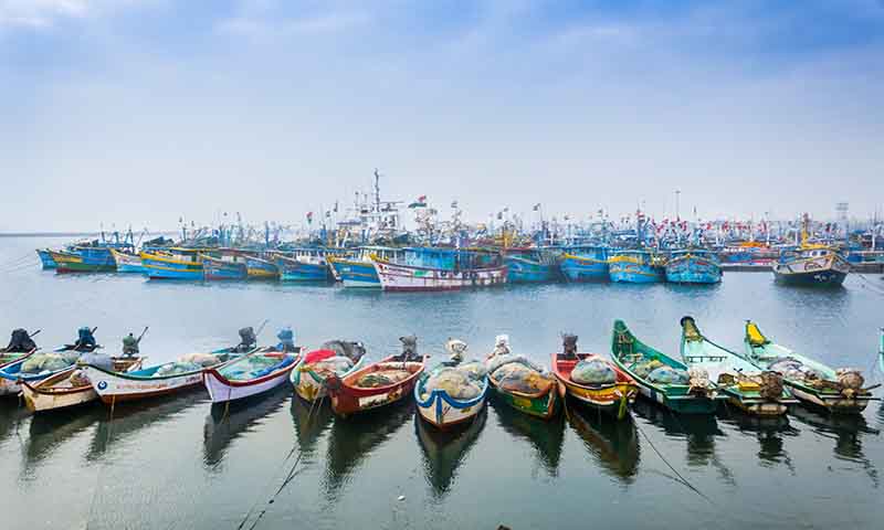 Royapuram Fishing Harbour