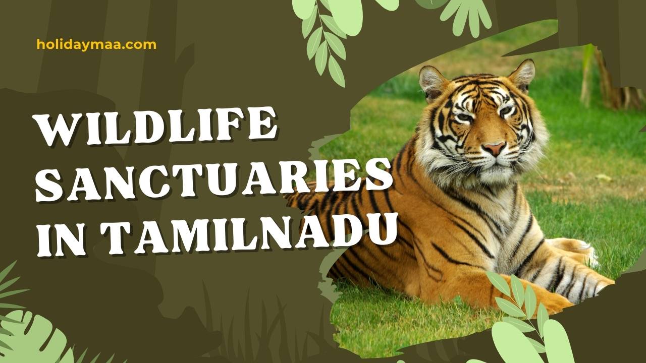 Wildlife Sanctuaries in TamilNadu