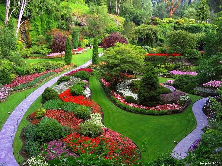 Botanical Garden ooty