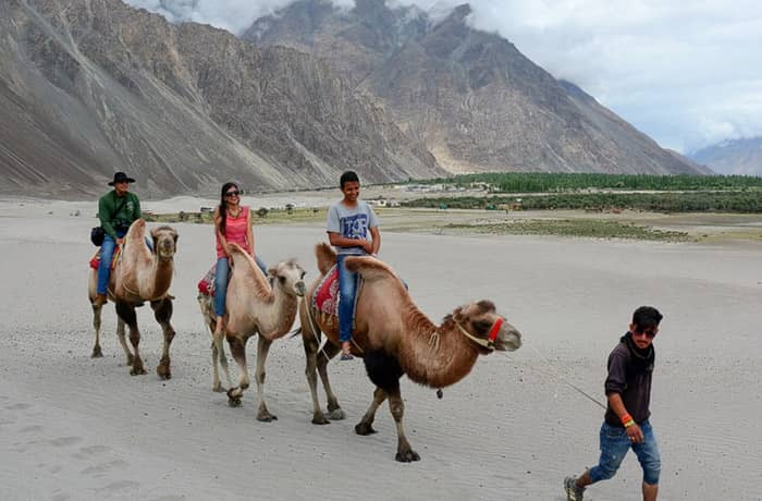 Leh-Ladakh Honeymoon Package