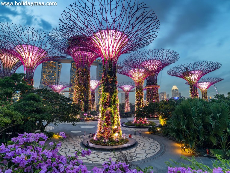 gardens by the bay singapore